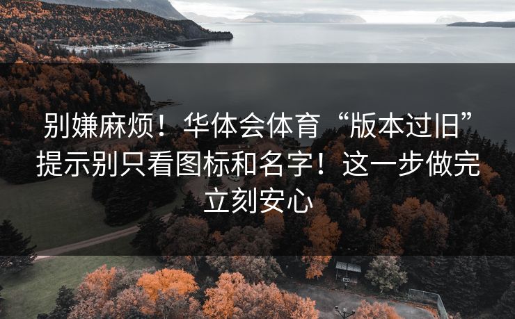 别嫌麻烦！华体会体育“版本过旧”提示别只看图标和名字！这一步做完立刻安心