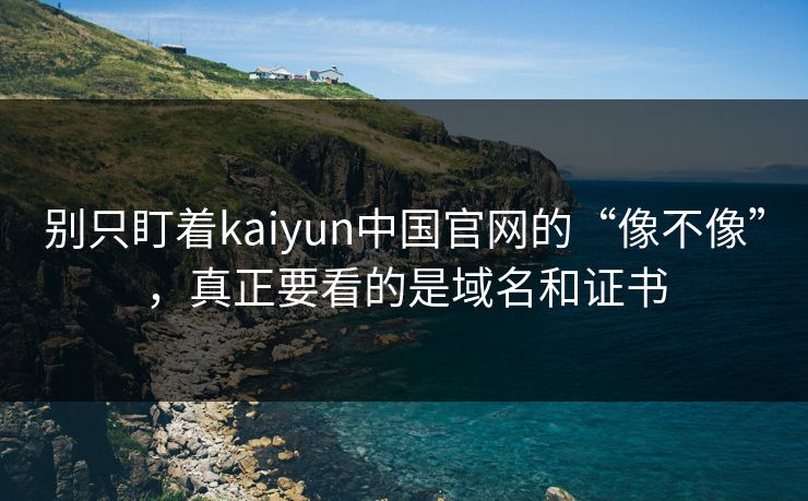别只盯着kaiyun中国官网的“像不像”，真正要看的是域名和证书